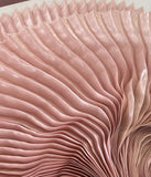 Pleated liquid organza