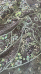 Grey and mint beaded lace