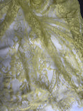 Chantilly lace
