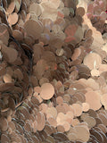 Big Circled sequin