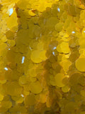 Big Circled sequin