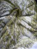 Chantilly lace