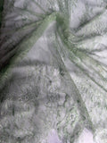 Chantilly lace
