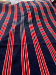 Red and Blue Striped Polished Cotton